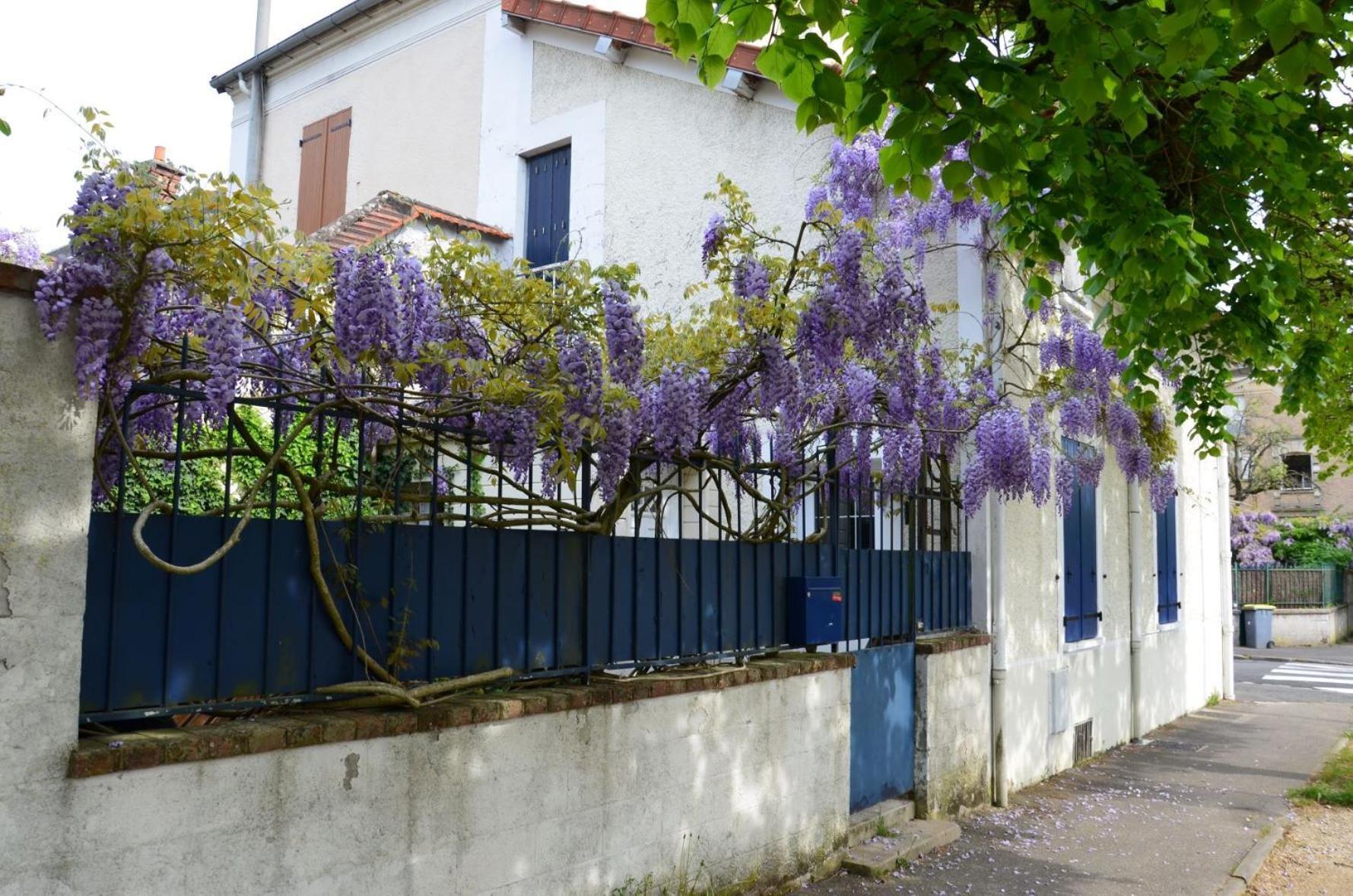 Bleautiful "Eugenie" Charmante Maison De Ville Fontainebleau Exterior photo